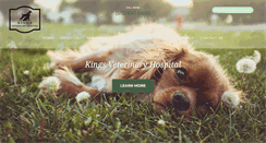 Desktop Screenshot of kingsvethospital.com